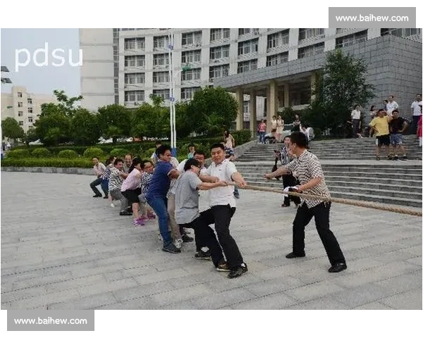 基于拔河比赛记录表的参赛过程成绩统计与团队协作分析新标题研究报